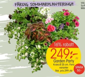 EKO Golden grape plantor erbjuda