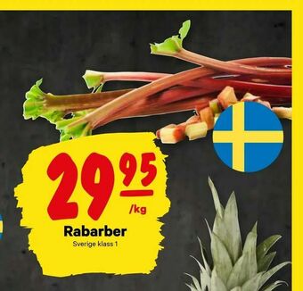 Rabarber