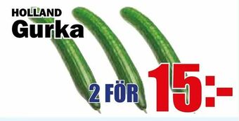 Matdax Gurka erbjuda