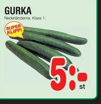 Nya Pulsen Gurka erbjuda