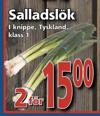 Supergrossen Salladslök erbjuda