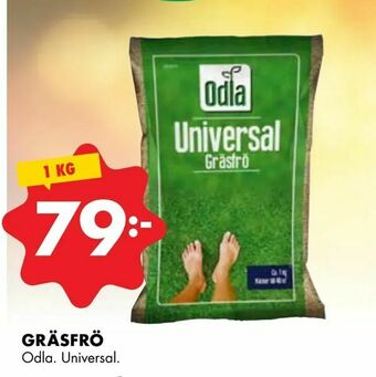 ÖoB Gräsfrö erbjuda
