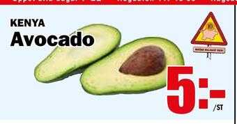 Matdax Avocado erbjuda