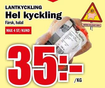 Matdax Hel kyckling erbjuda