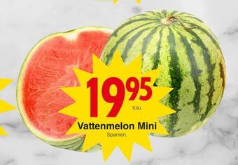 Matöppet Vattenmelon mini erbjuda