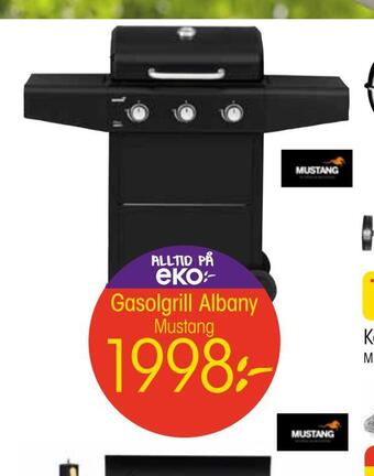 EKO Gasolgrill albany erbjuda