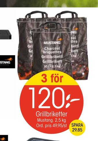 Grillbriketter
