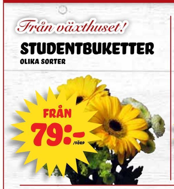 Nelins Studentbuketter erbjuda