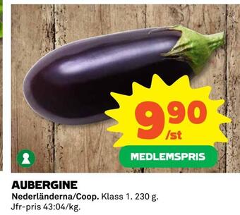 Aubergine