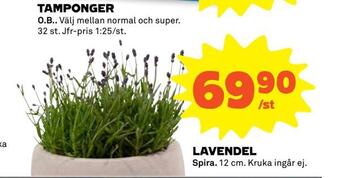Lavendel