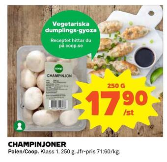 Champinjoner