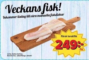 Östenssons Leröy torskfilé erbjuda