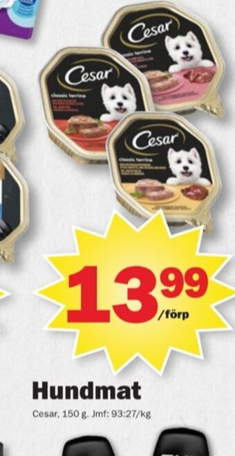Pekås Cesar hundmat erbjuda
