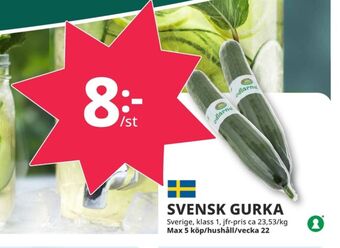 Tempo Odlarna.se gurka erbjuda