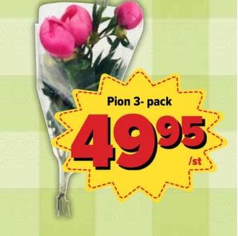 Östenssons Odlarna.se blommor erbjuda