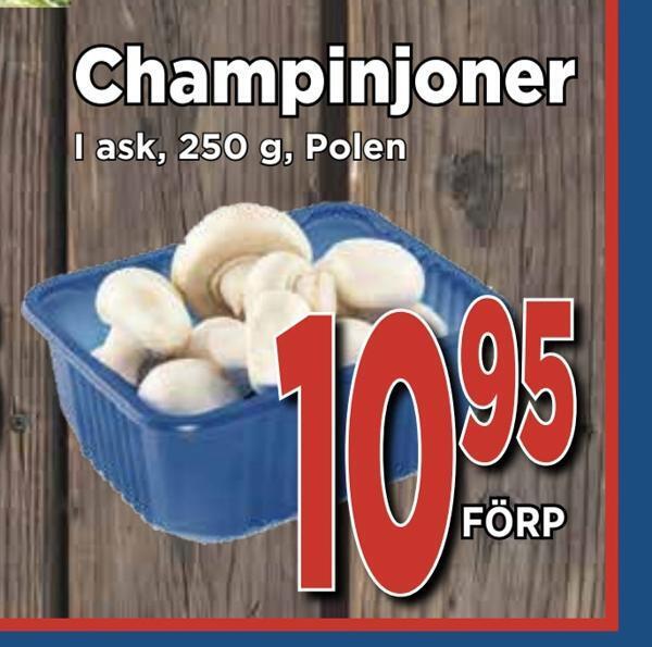 Supergrossen Champinjoner erbjuda