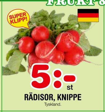 Nya Pulsen Rädisor, knippe erbjuda