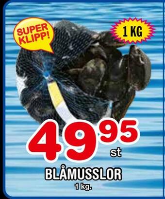 Nya Pulsen Blåmusslor erbjuda