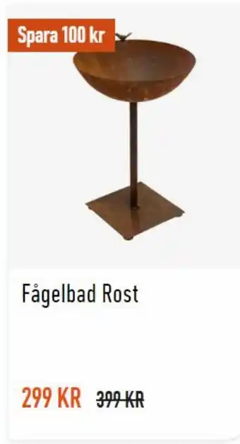 Fågelbad Rost