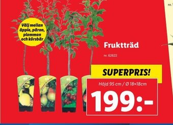 Lidl Fruktträd erbjuda