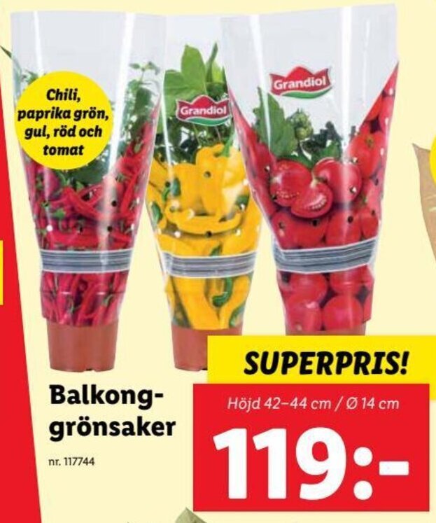 Lidl Balkong-grönsaker erbjuda