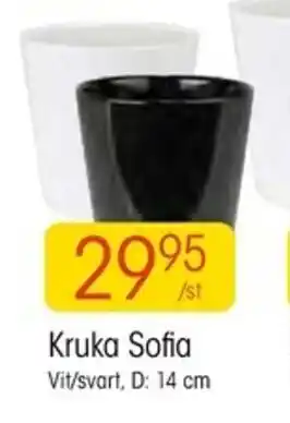 EKO Kruka Sofia 14cm erbjuda