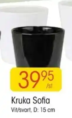 EKO Kruka Sofia 15cm erbjuda