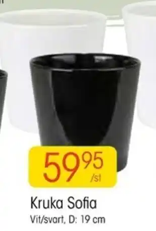 EKO Kruka Sofia 19cm erbjuda