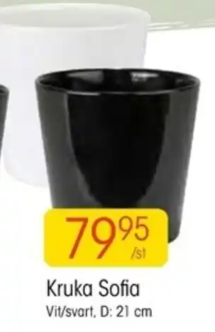 EKO Kruka Sofia 21cm erbjuda