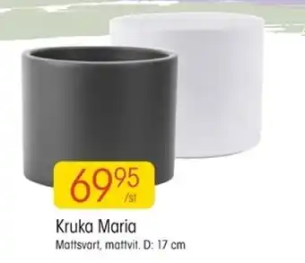 EKO Kruka Maria 17cm erbjuda