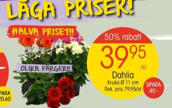 EKO Plantor erbjuda