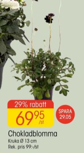 EKO Coolest plantor erbjuda