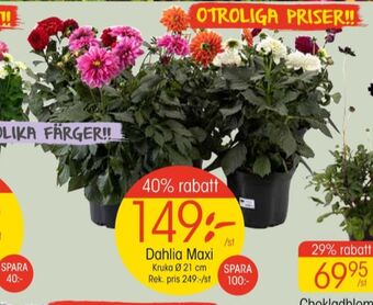 EKO Coolest plantor erbjuda