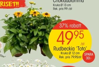 EKO Coolest plantor erbjuda