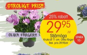 EKO Coolest plantor erbjuda