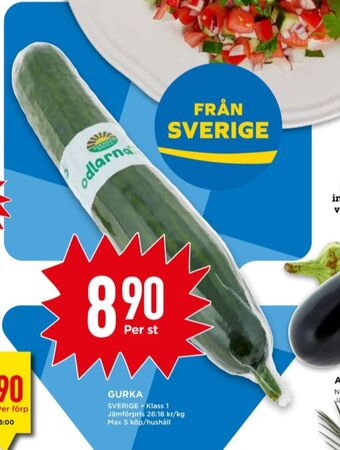 Willys Odlarna.se gurka erbjuda