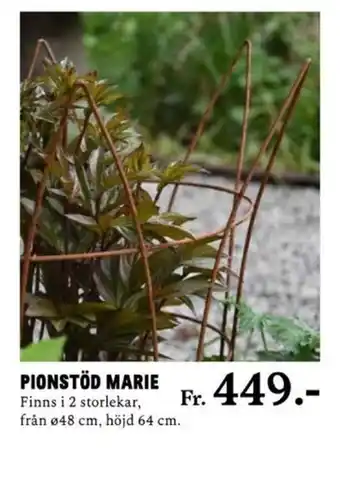 PIONSTÖD MARIE