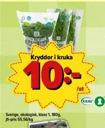 Östenssons Sverige Kryddor i kruka 180g erbjuda