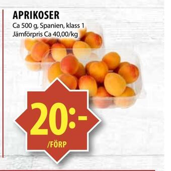 Aprikoser