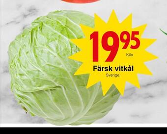 Matöppet Färsk vitkål erbjuda