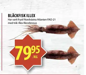 Matvärlden Tensta Bläckfisk illex erbjuda