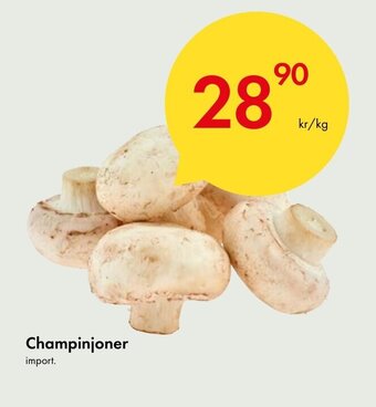 Snabbgross Champinjoner erbjuda
