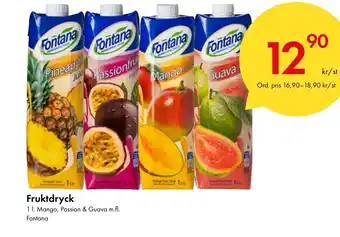 Fruktdryck 1 1. Mango, Passion & Guava m.fl. Fontana