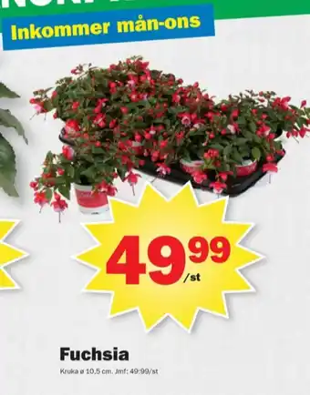 Pekås Dafgårds plantor erbjuda