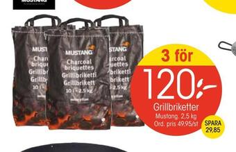 EKO Grillbriketter erbjuda