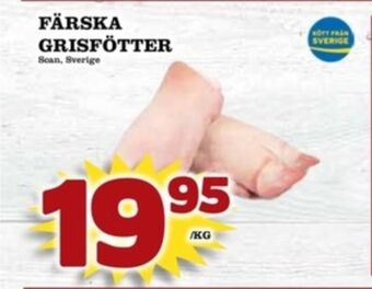 Matdax Scan grisfötter erbjuda