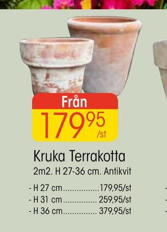 EKO Kruka terrakotta erbjuda