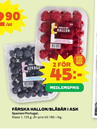 Färska hallon/blåbär i ask