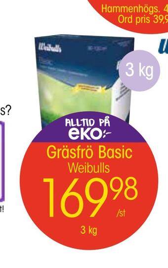 EKO Gräsfrö basic erbjuda