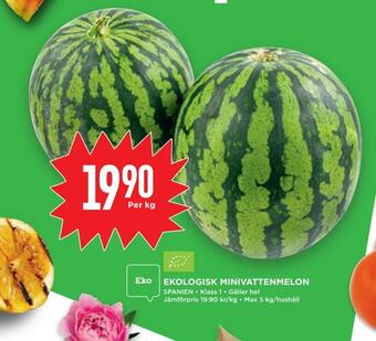 Willys Hemma Ekologisk minivattenmelon erbjuda